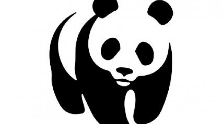 WWF LOGO